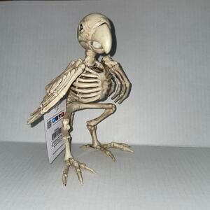 MARGARITAVILLE DEAD PARROT HEAD BIRD SKELETON BONES PROP HALLOWEEN DECORATION